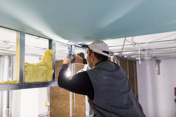 Best Geographic-Specific Insulation Services in Polson, MT